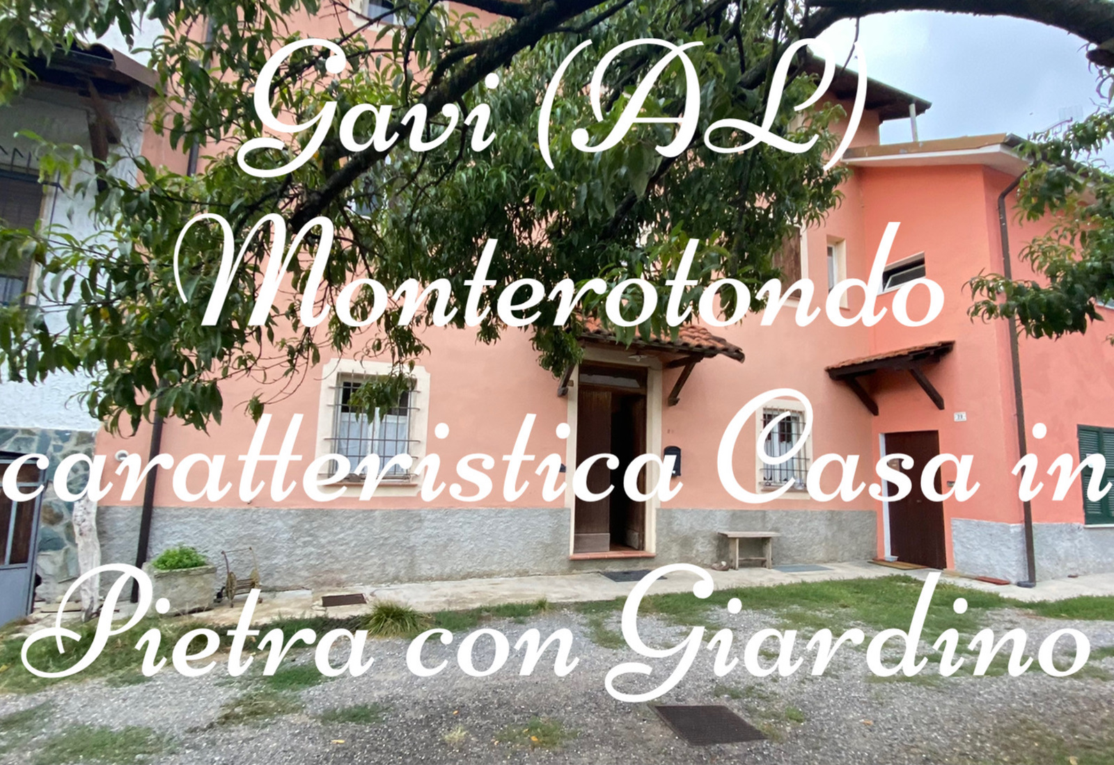 Case | Gavi